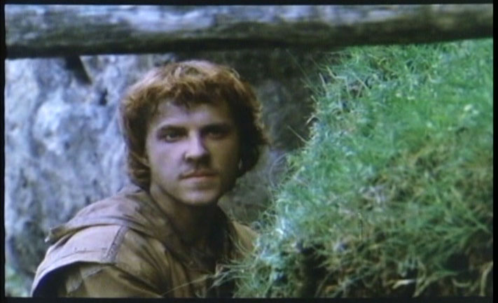 Полет ворона | Hrafninn flýgur | When the Raven Flies (1984)