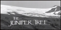 Можжевельник | The Juniper Tree | 1990