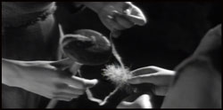 Можжевельник | The Juniper Tree | 1990