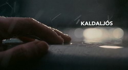 Холодный свет | Kaldaljós | Cold Light (2004)
