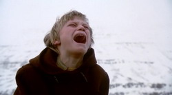 Холодный свет | Kaldaljós | Cold Light (2004)